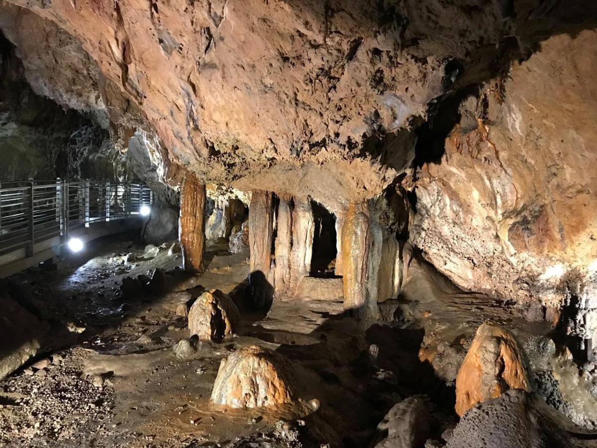 Villa La Ficuzza Cittadella del Capo Eksteriør billede