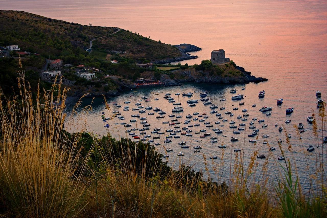 Villa La Ficuzza Cittadella del Capo Eksteriør billede